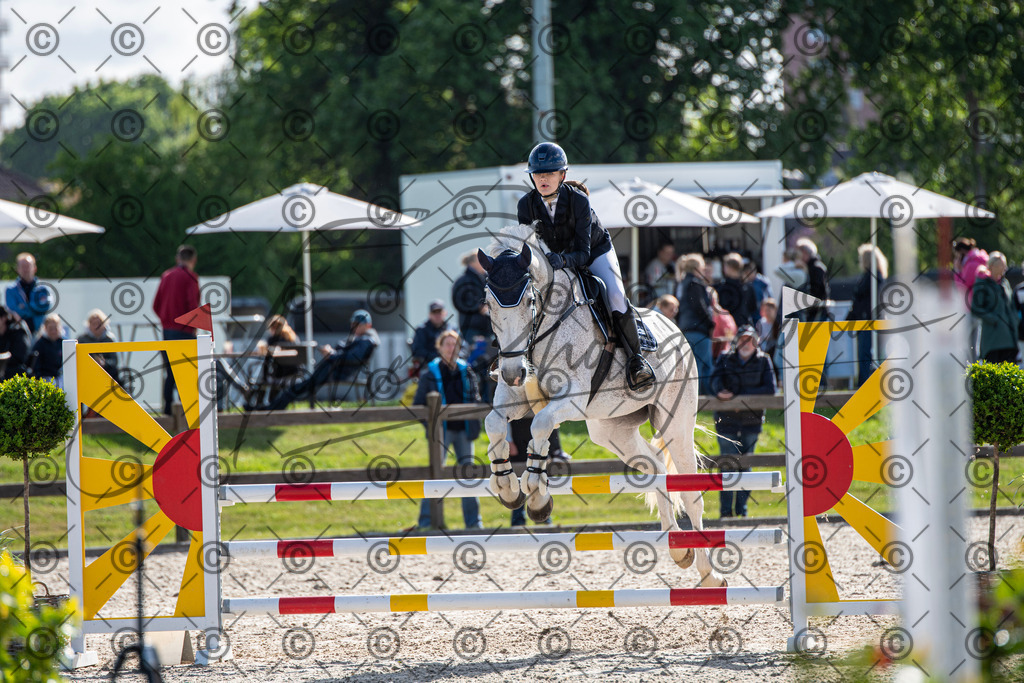 KPT_4543 | andre_photographic