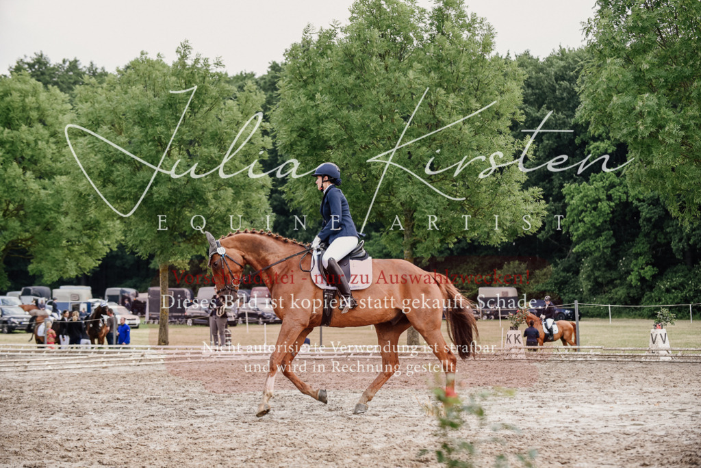 DSC_9934 | Pferde- und Turnierfotografie in Westsachsen. Pferdeportraits, Auftragszeichnungen und intuitive Kunst.