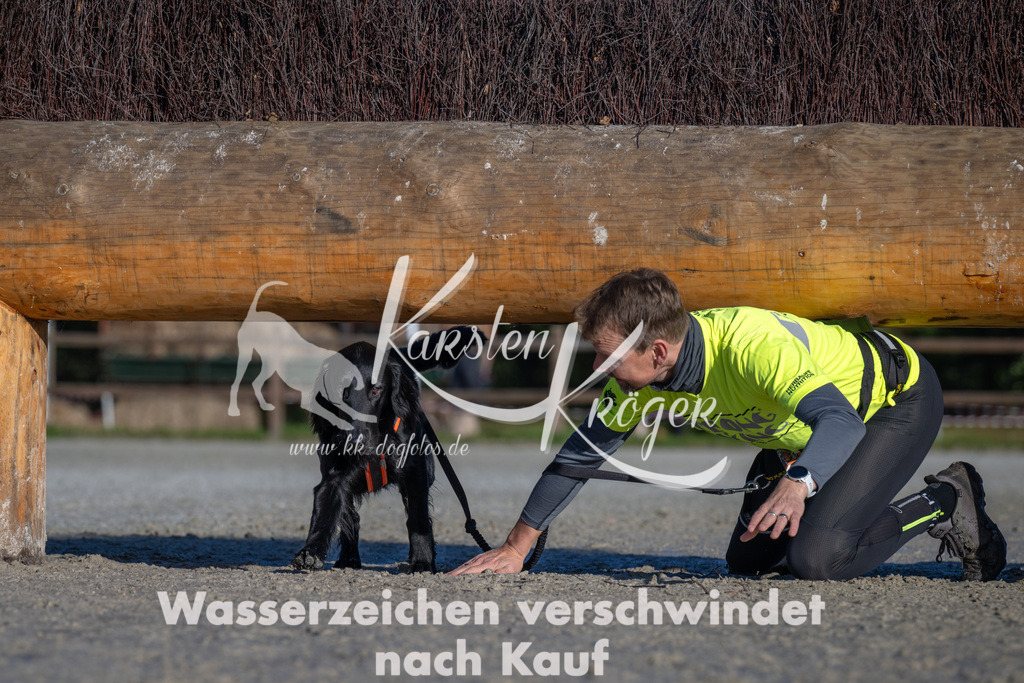 1040-_ZZ92063 | kk-dogfotos