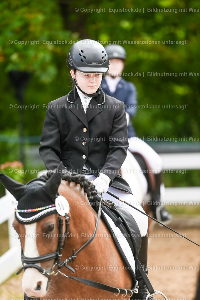 20230716_10-2_Reiter-WB Schritt - Trab - Galopp_0020 | equistock