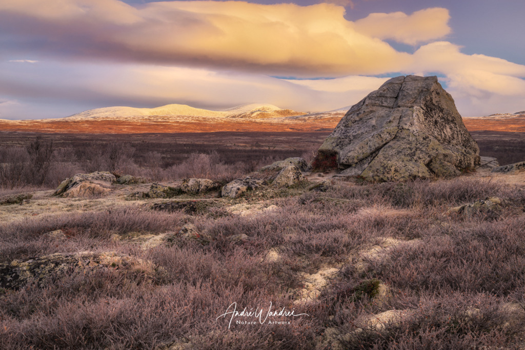Morgenlicht im Dovrefjell | Andre Wandrei - Nature Artworx - Realisiert mit Pictrs.com