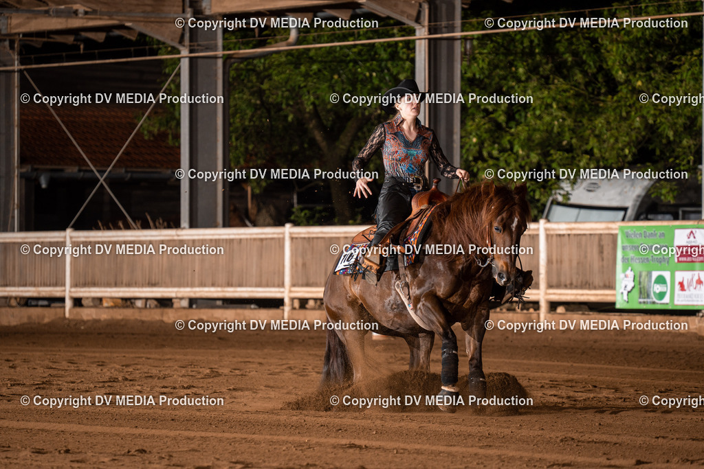 Erbach Tag 3-1065 | dv-media-shop - Realisiert mit Pictrs.com