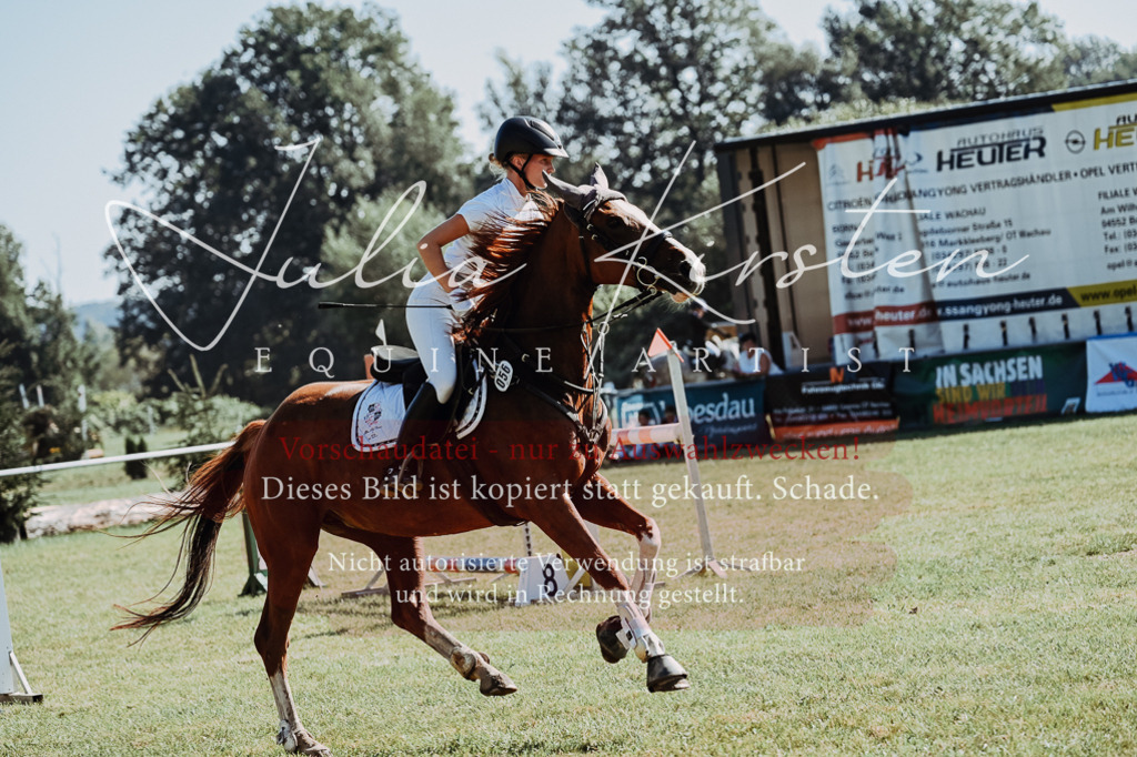 DSC_5604 | Pferde- und Turnierfotografie in Westsachsen. Pferdeportraits, Auftragszeichnungen und intuitive Kunst.