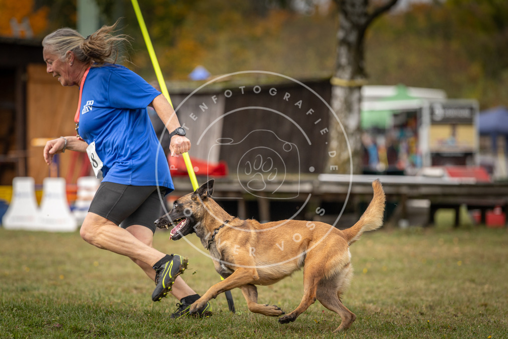 Pfotenfotografie_DV3A5600 | Hundefotografie, Tierfotograf, Pfotenfotografie, Fotoshooting Hund, Hunde Portrait, Hundesport, Hundeportraits, Heideshooting, Hunde, Sportfotograf, Hundefotograf, Turnierhundsport, THS,  - Realisiert mit Pictrs.com