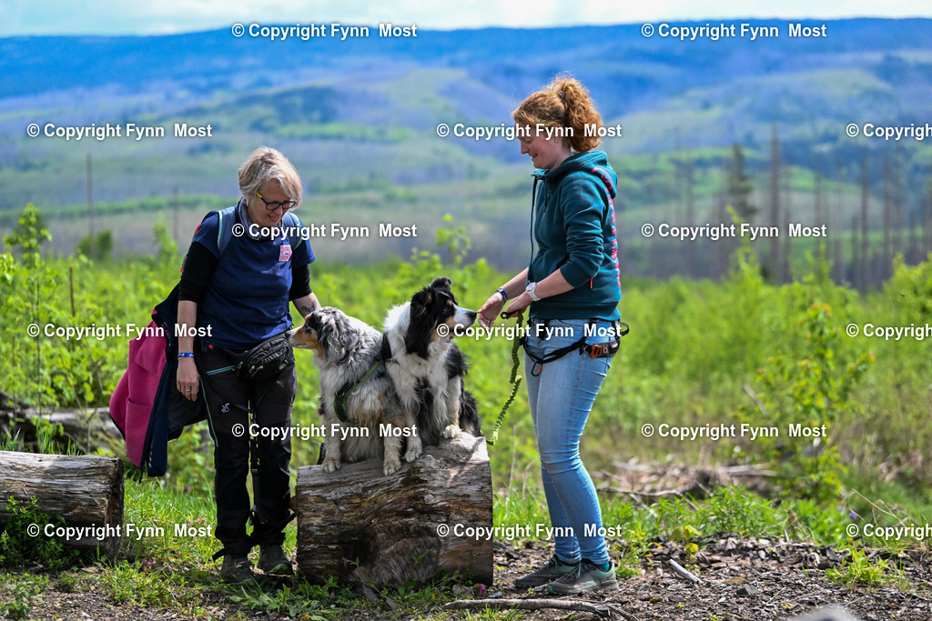 DSC_5333 | Hallo und herzlich Willkommen auf meiner Shop-Seite Fynn Most.

Ich wünsche Dir viel Spaß beim stöbern durch die Bilder, wenn Du Fragen hast oder Bilder vermisst, kannst du mir gerne eine Nachricht schreiben. - Realisiert mit Pictrs.com