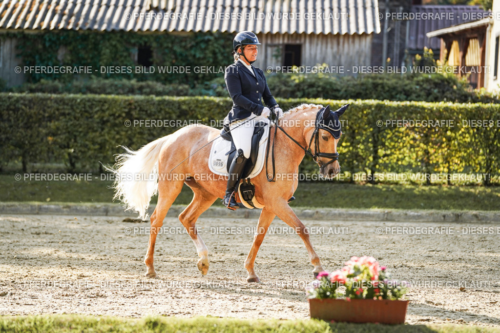 DSC05722 | Pferdegrafie