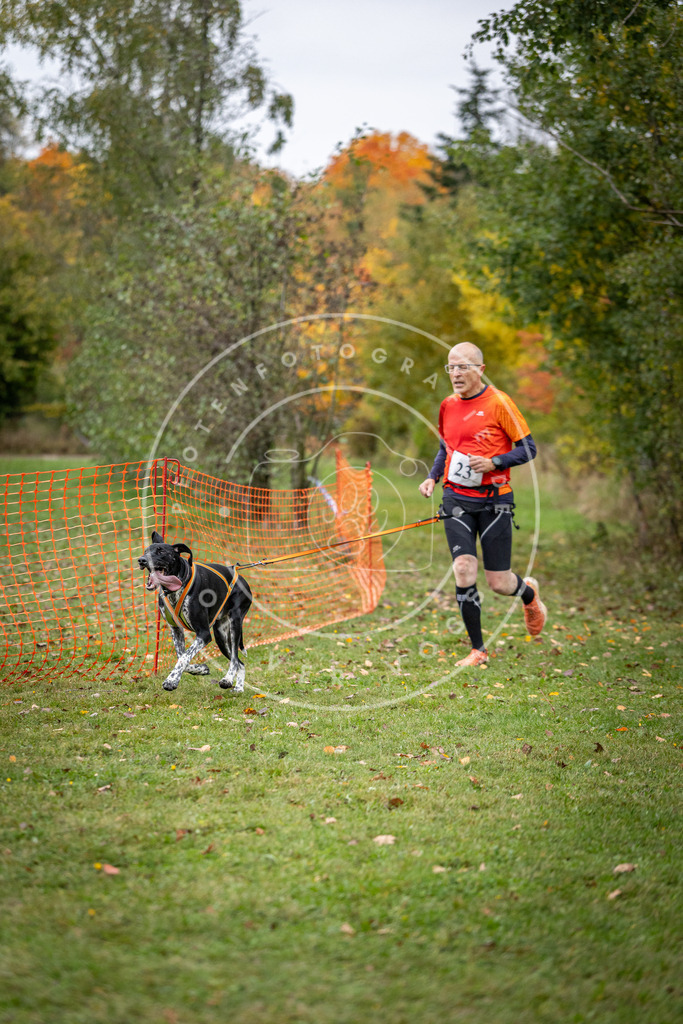 Pfotenfotografie_DV3A1969 | Hundefotografie, Tierfotograf, Pfotenfotografie, Fotoshooting Hund, Hunde Portrait, Hundesport, Hundeportraits, Heideshooting, Hunde, Sportfotograf, Hundefotograf, Turnierhundsport, THS,  - Realisiert mit Pictrs.com