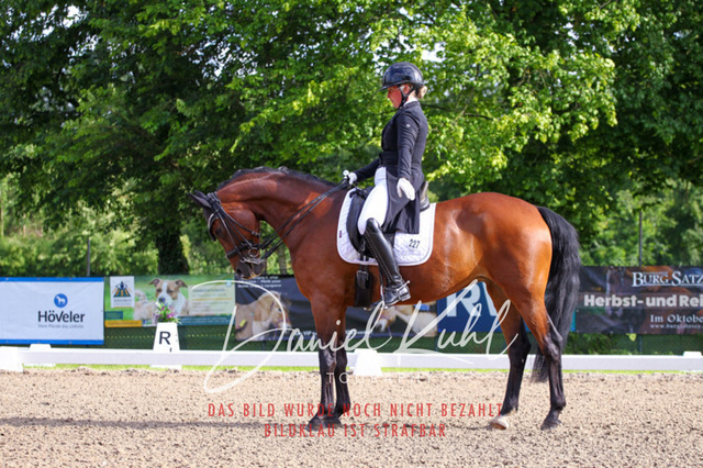 DKP41635 | Turnierfotos kaufen im Webshop von Daniel Kuhl Photography – entdecke professionelle Reitsportfotos aus Turnieren & Events. Hochwertige Turnierbilder online bestellen & sichern. Jetzt Fotos von Reitsportturnieren kaufen!