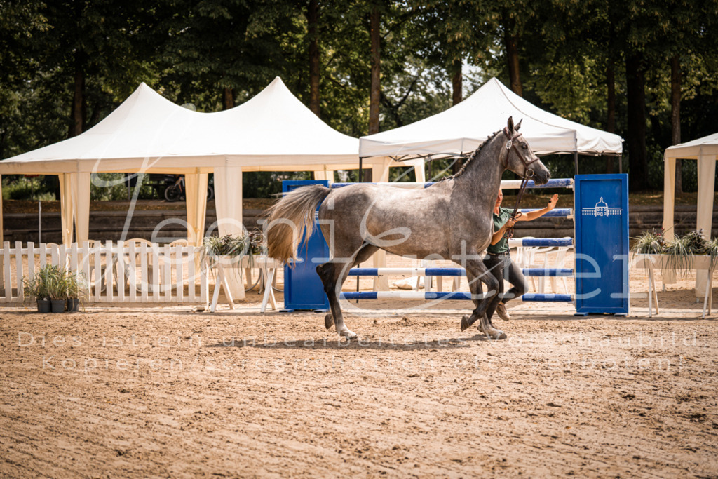 1.Fr00184 | Leoni Ertmer Photography - Realisiert mit Pictrs.com