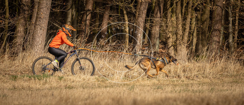 DV3A4320 | Hundefotografie, Tierfotograf, Pfotenfotografie, Fotoshooting Hund, Hunde Portrait, Hundesport, Hundeportraits, Heideshooting, Hunde, Sportfotograf, Hundefotograf, Turnierhundsport, THS,  - Realisiert mit Pictrs.com