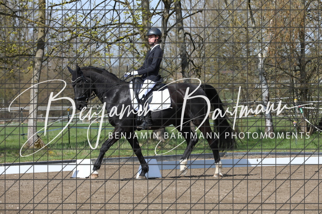 AZ2A4535 | Benjamin Bartmann Photomoments