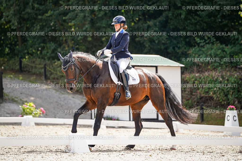 DSC09337 | Pferdegrafie