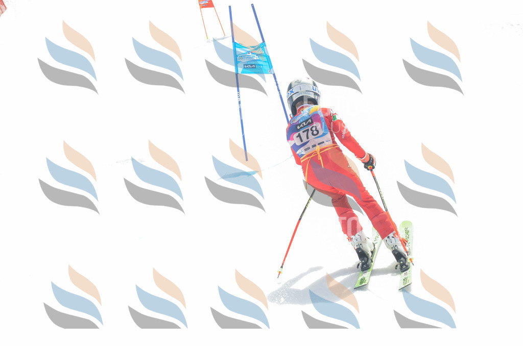 _ELE6643 | holidayphoto