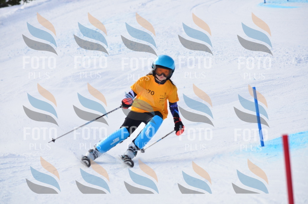 C7896 | holidayphoto