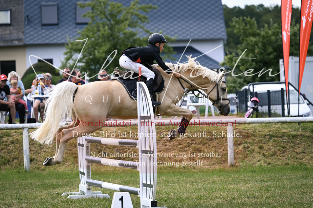 DSC_0648 | Pferde- und Turnierfotografie in Westsachsen. Pferdeportraits, Auftragszeichnungen und intuitive Kunst.