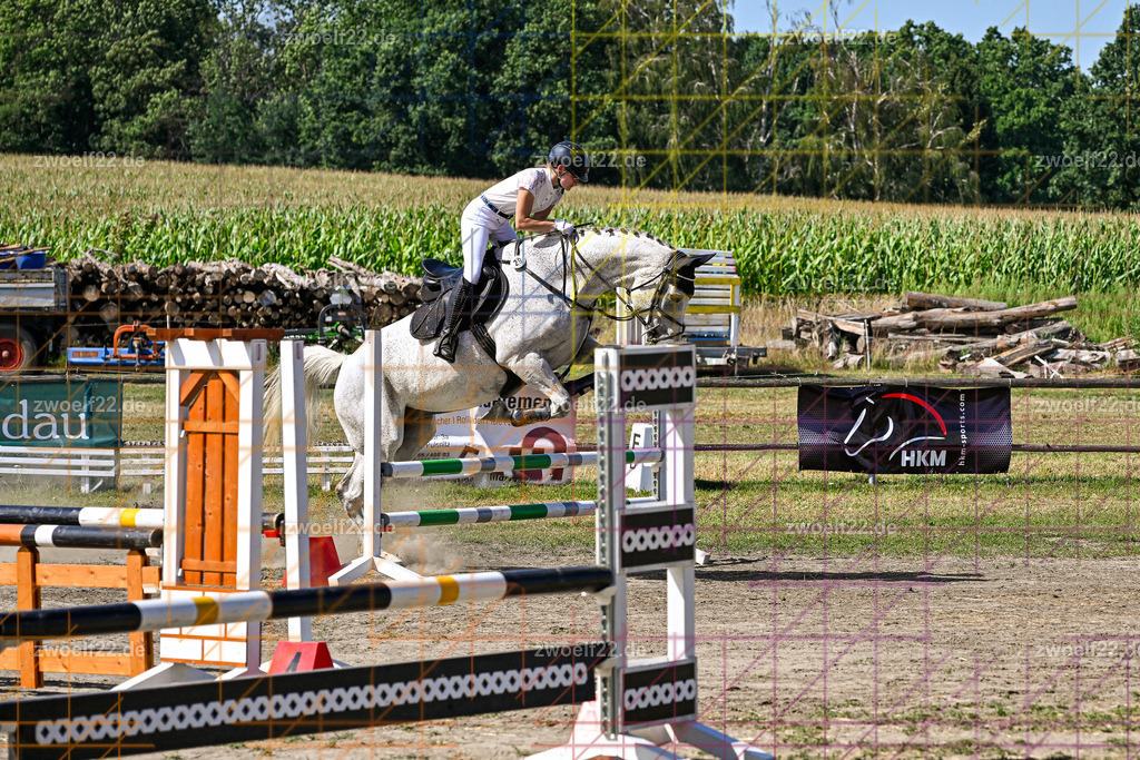 30 Jahre RFV Pulsnitz e.V., Pulsnitz am 09.08.2026 | Zur 28. breitensportlichen Veranstaltung des RFV Pulsnitz e.V. fanden verschiedene Wettbewerbe in nahezu allen Disziplinen des Pferdesport statt. - 06 Standard-Spring-Wettbewerb - Realisiert mit Pictrs.com