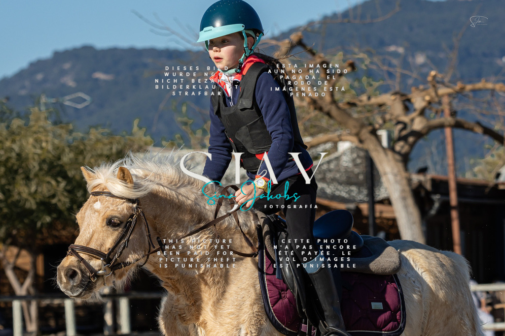 IMG_7804 | s-jay-photography - Realisiert mit Pictrs.com