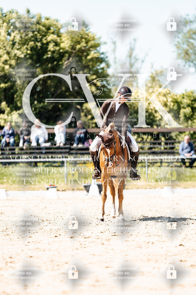 CK905589 | Turnierfotografie Pferdefotografie Trier Rheinland-Pfalz Pferdesport Reitsport Tierfotografie Sportfotografie Pferdevideo Pferdevideografie Equestrianvideography equestrianphotography  - Realisiert mit Pictrs.com