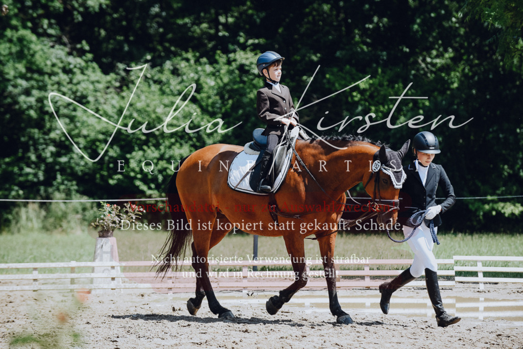 DSC_2149 | Pferde- und Turnierfotografie in Westsachsen. Pferdeportraits, Auftragszeichnungen und intuitive Kunst.