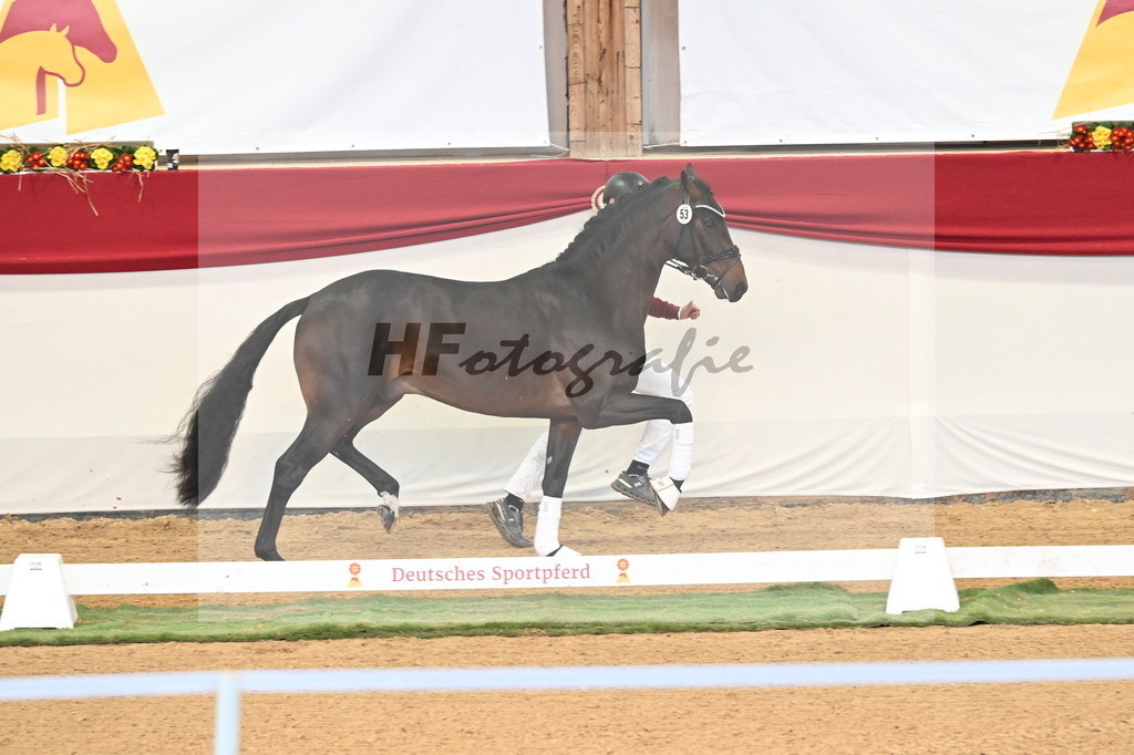 Kat.-Nr. 53 v. Feinsten_Kratzberg_3260541 | hf-fotografie - Realisiert mit Pictrs.com
