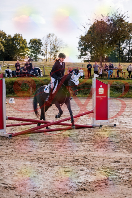 2026_10_03_Siefer-Hof_145905_Z81_40816158 | Professionelle Reitsport-, Turnier- und Eventfotografie von Robert Broda. Galerien mit ausgewählten und bearbeiteten Bildern direkt online ansehen und bestellen.