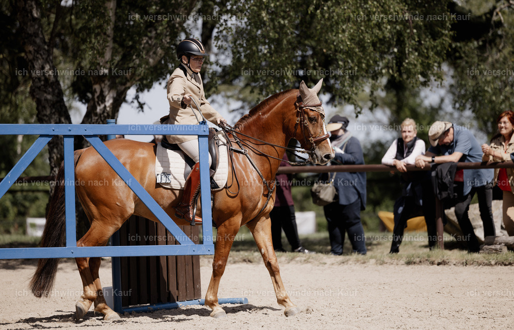 KlasseM_stoibphotography_C2_C9263.CR3 | working equitationturnier fotograf videograf stoibphotography marixx film working equitation deutschland reitsport turnierfotografie eventfotografie equestrian events