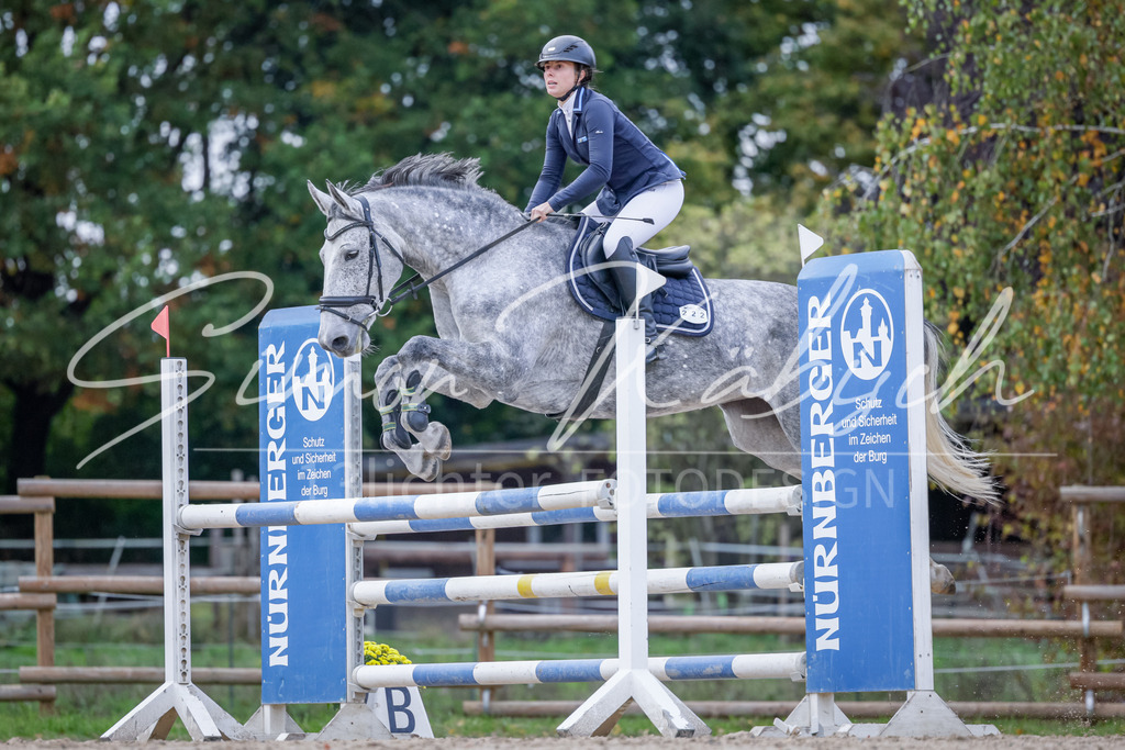 20251012-_3LI5144 | Tierfotografie Pferde, Hunde, Katzen, Haustiere.
Turnierfotografie Reitturniere, Reiten, Springreiten, Dressur in Hanau, dem Main-Kinzig-Kreis und dem Rhein-Main- Gebiet um Frankfurt