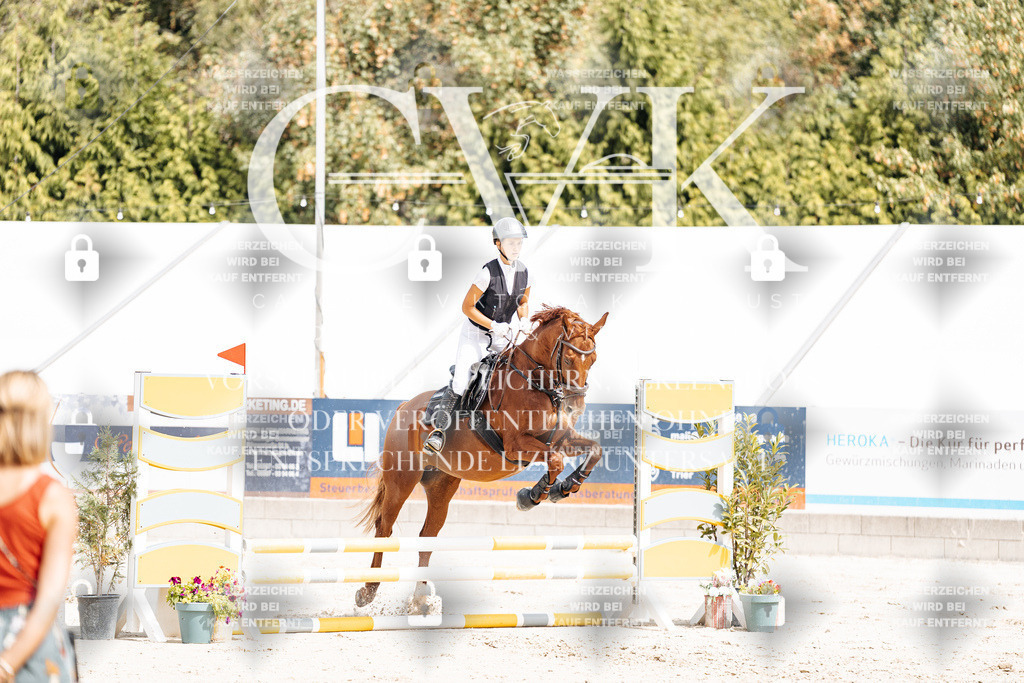 CK906374 | Turnierfotografie Pferdefotografie Trier Rheinland-Pfalz Pferdesport Reitsport Tierfotografie Sportfotografie Pferdevideo Pferdevideografie Equestrianvideography equestrianphotography  - Realisiert mit Pictrs.com