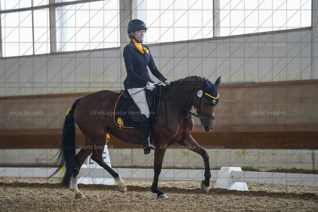 20240825-FAH09667 | Turnierbilder, Reitsportfotos, LAPO, Landesponyturnier, Turnierfotografen Bayern