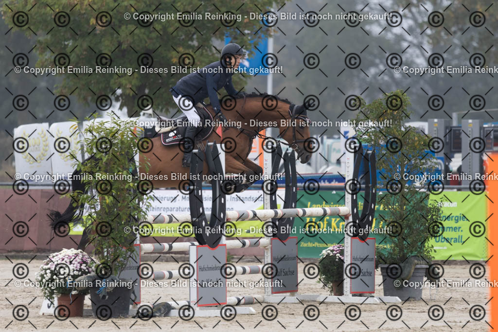 CL5A4706 | Emilia Reinking Fotografie - Realisiert mit Pictrs.com