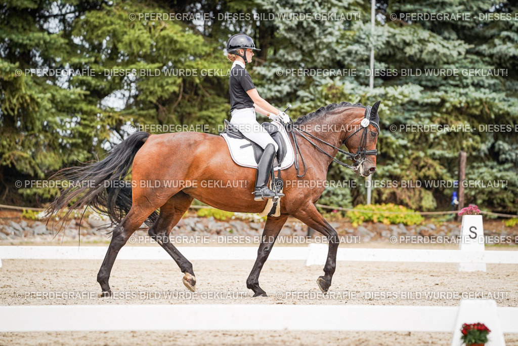 DSC06072 | Pferdegrafie