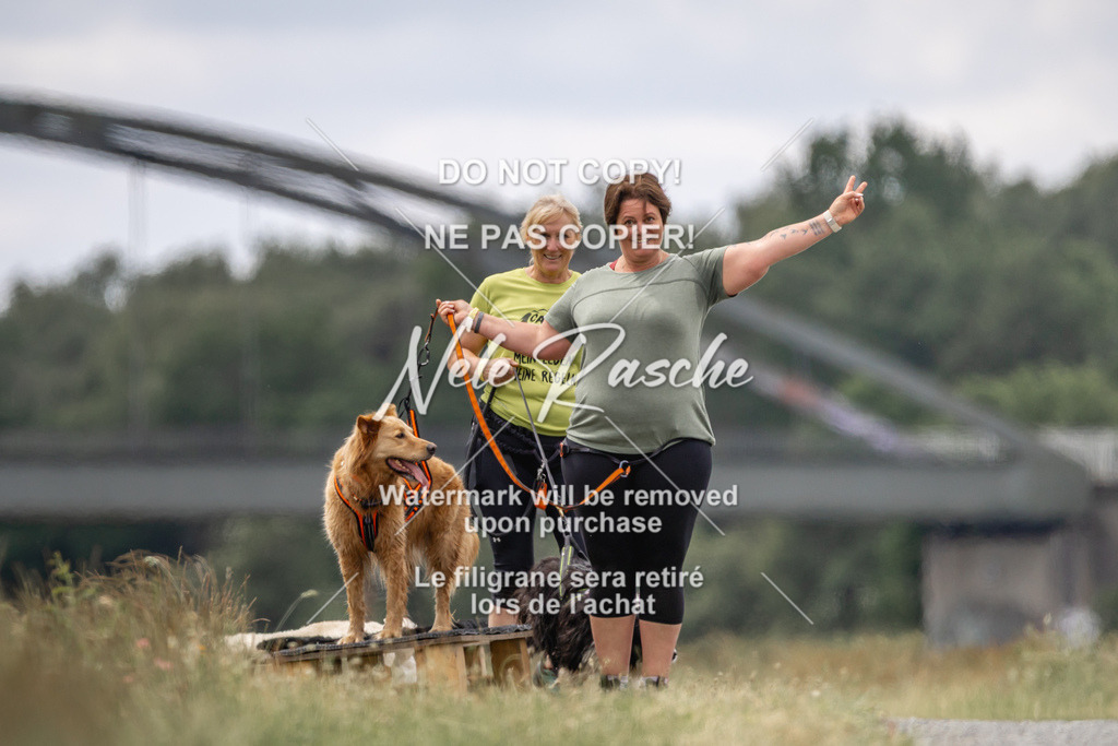 nelerasche_BuHu2026_SaCC1100-1200_246 | nelerasche
