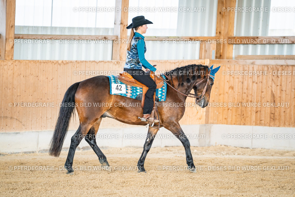 DSC08511 | Pferdegrafie