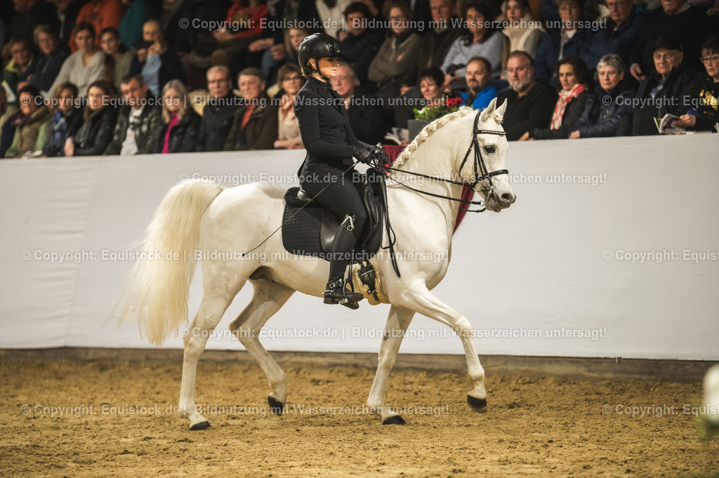 20240302_Hengstvorstellung_Marbach_TOMsPiC_1091 | equistock