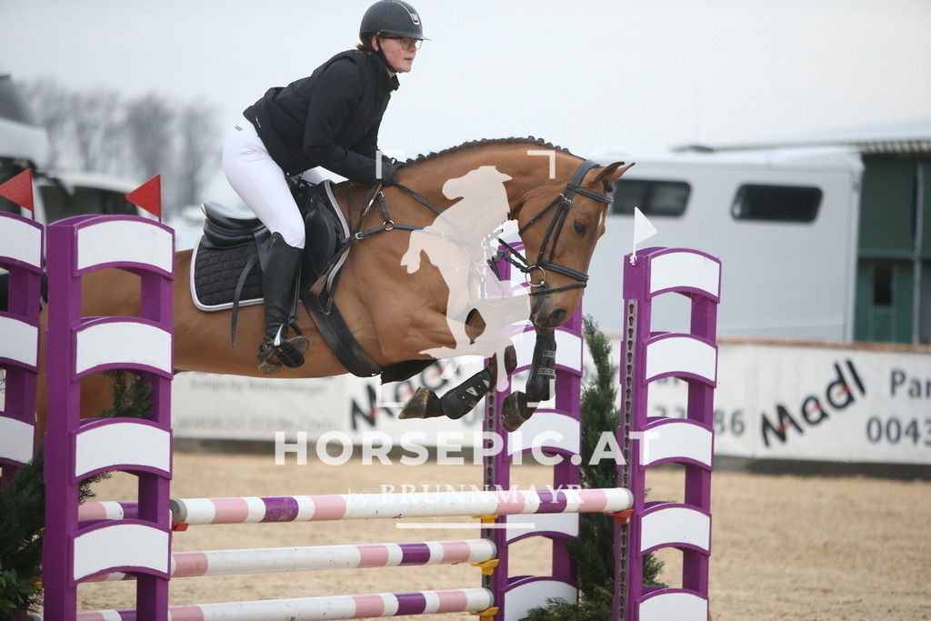 AS8V1538 | Willkommen bei Brunnmayr - Design & Fotografie – Ihrem Spezialisten für Reitturniere und Pferdeveranstaltungen in Oberösterreich, Salzburg und Bayern! Seit über 17 Jahren sind wir leidenschaftlich dabei.