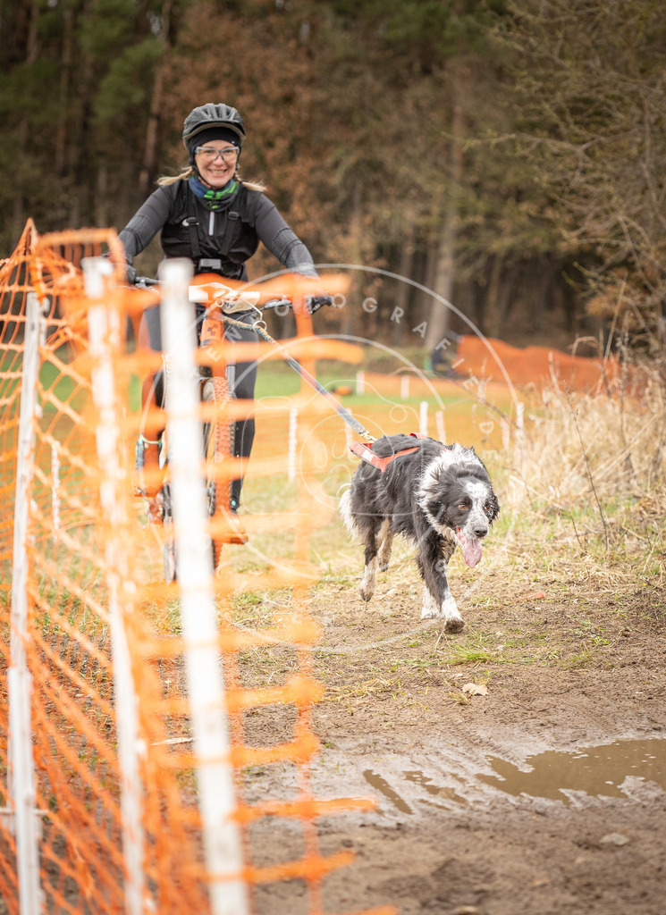 DV3A1207 | Hundefotografie, Tierfotograf, Pfotenfotografie, Fotoshooting Hund, Hunde Portrait, Hundesport, Hundeportraits, Heideshooting, Hunde, Sportfotograf, Hundefotograf, Turnierhundsport, THS,  - Realisiert mit Pictrs.com