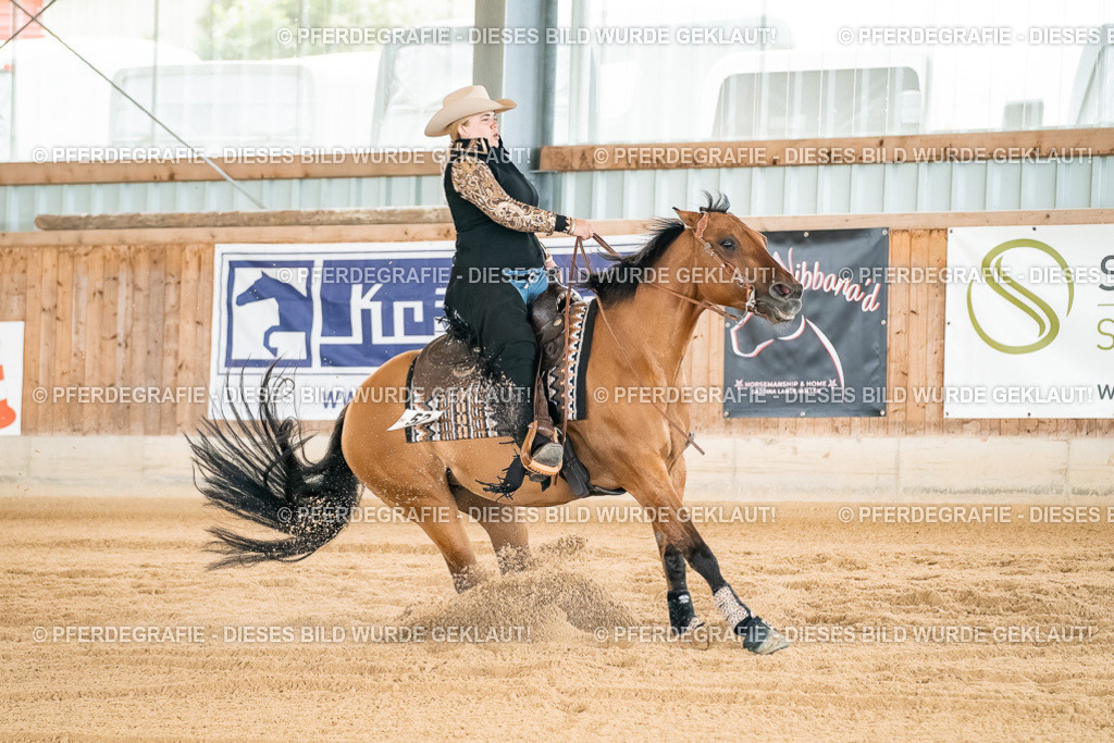 DSC03085 | Pferdegrafie