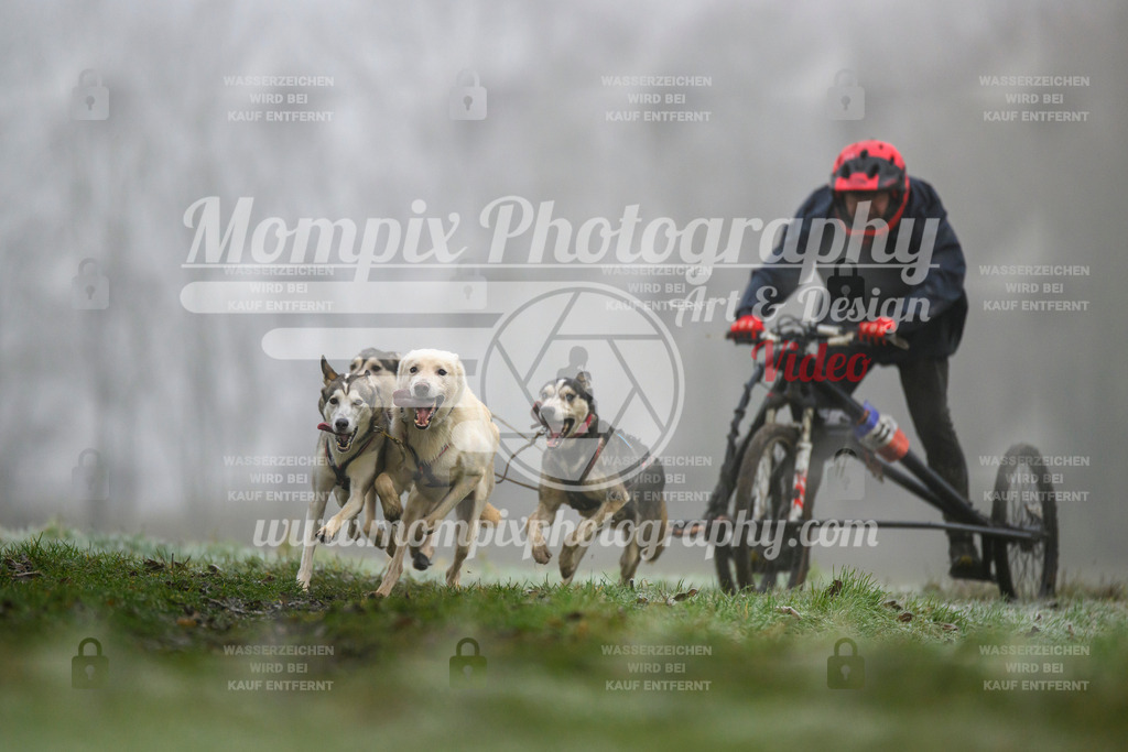 MompixPhotography_CDF2023_FFST_Di_Kart-26 | PayLife