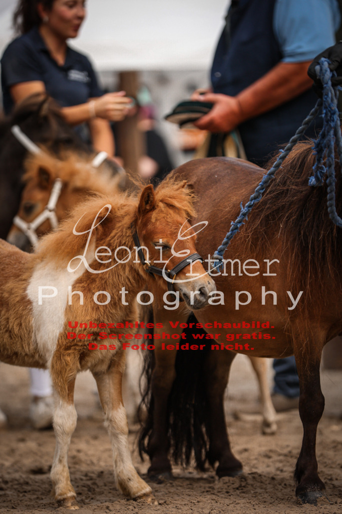 1.Fr00149 | Leoni Ertmer Photography - Realisiert mit Pictrs.com