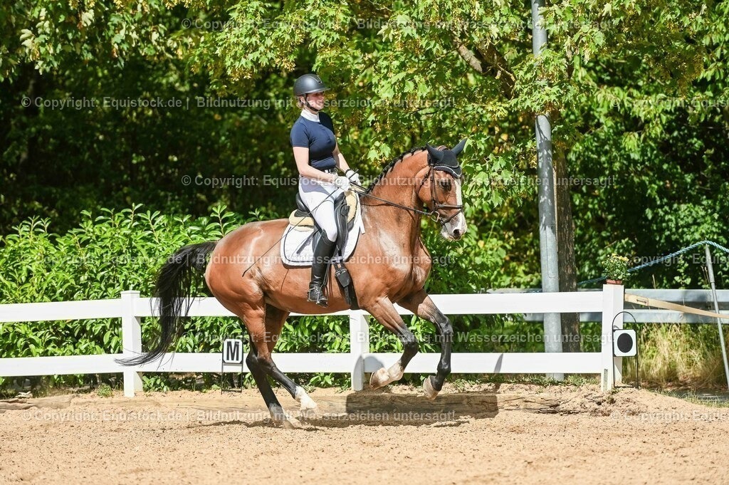 20230715_02_Dressurreiterprüfung Kl.L_0335 | equistock