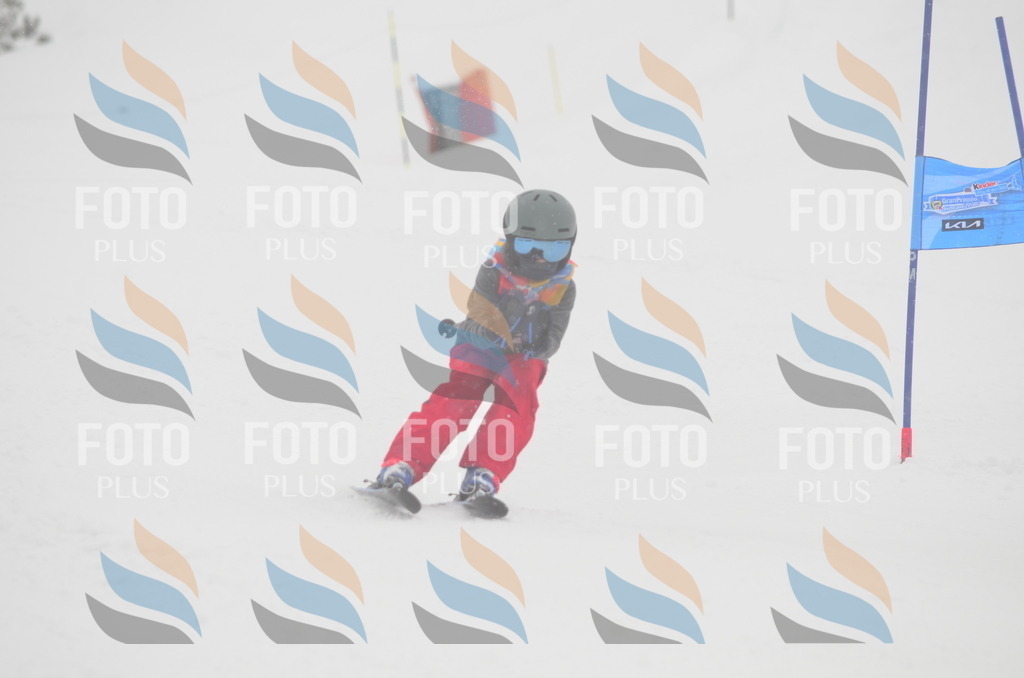 C0949 | holidayphoto