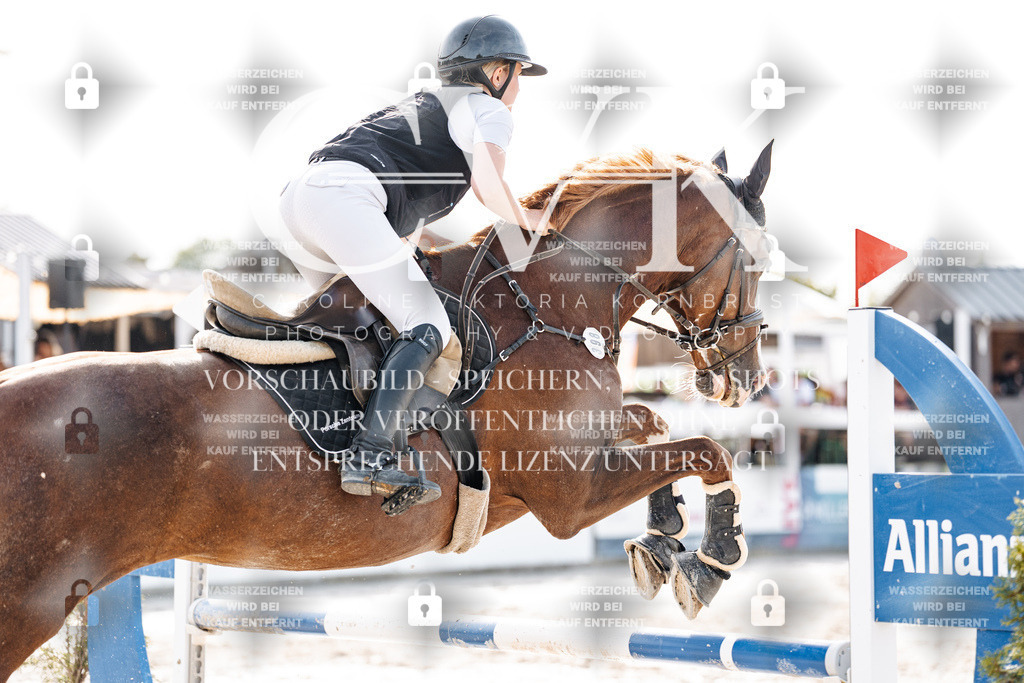 CK906022 | Turnierfotografie Pferdefotografie Trier Rheinland-Pfalz Pferdesport Reitsport Tierfotografie Sportfotografie Pferdevideo Pferdevideografie Equestrianvideography equestrianphotography  - Realisiert mit Pictrs.com