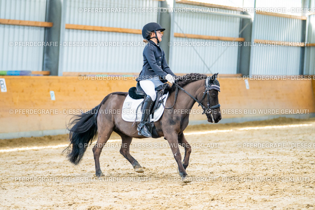 DSC06716 | Pferdegrafie