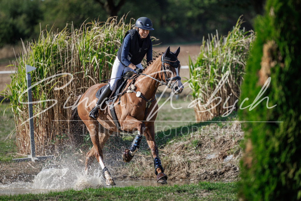 20260905-_3LI0346 | Tierfotografie Pferde, Hunde, Katzen, Haustiere.
Turnierfotografie Reitturniere, Reiten, Springreiten, Dressur in Hanau, dem Main-Kinzig-Kreis und dem Rhein-Main- Gebiet um Frankfurt