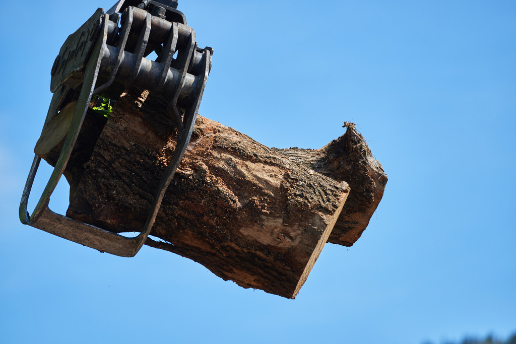 Waldköhlerei Hochecker | Michelbach, Austria - May 08, 2019: Waldköhlerei Hochecker, die 2011 in das Nationale Verzeichnis des immateriellen Kulturerbes der UNESCO aufgenommen wurde, produziert noch echte Holzkohle; Holzkran mit Holzstücke. - Realisiert mit Pictrs.com