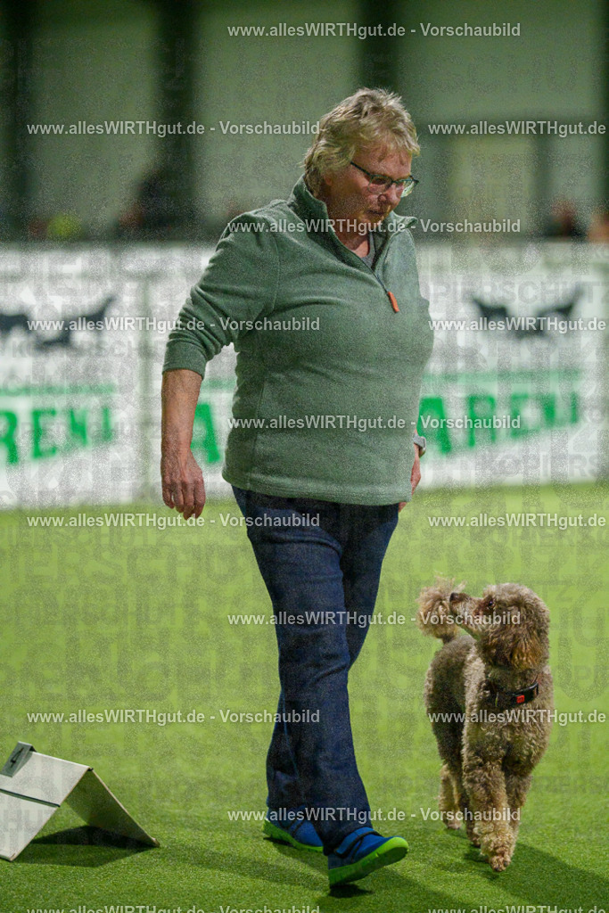 7R509161 | Professionelle Tierfotografie in Mönchengladbach von Daniel Wirth (allesWIRTHgut). Liebevolle & natürliche Bilder von Hunden & Katzen für unvergessliche Erinnerungen.