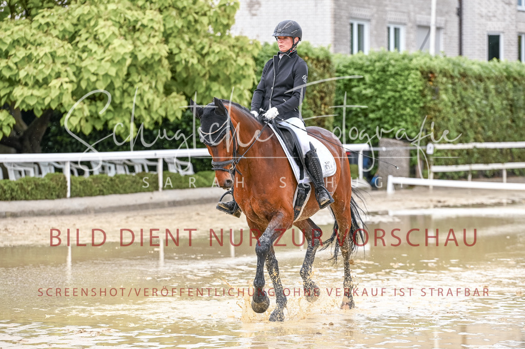 Schugtsche-Aluta25-54.Dressurprf.L1Trense-159 | Schugtsche Fotografie - Realisiert mit Pictrs.com
