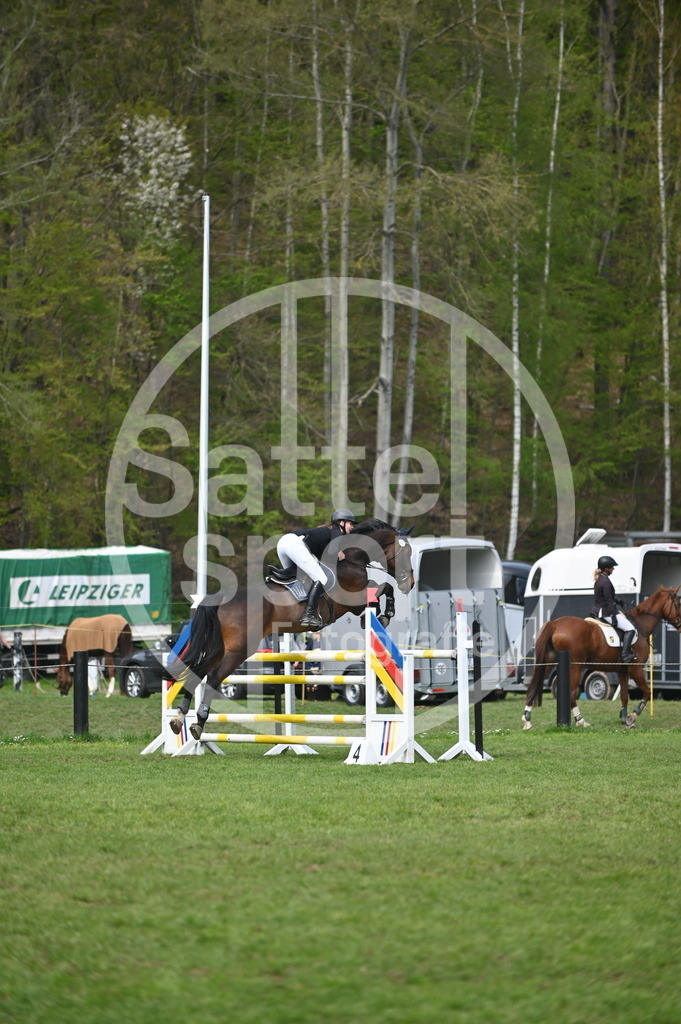 DSC_3856 | sattelsport - Realisiert mit Pictrs.com