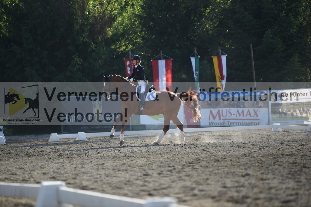 DSC_3213 | equestrian-live-com