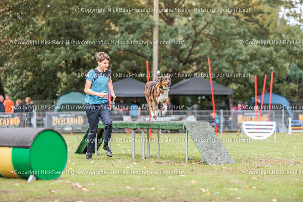 THS-HSV-Blumenthal-2026-Nickbest-Hundefotografie-4220 | Dein Hund! Dein Moment! Deine Erinnerungen! Hundefotografie in Bremen Blumenthal. Ich fange die besonderen Momente deines Vierbeiners ein – ob Indoor mit Blitzanlage oder in der freien Natur. Sicher dir dein Moment und dein Termin für eure Erinnerungen.